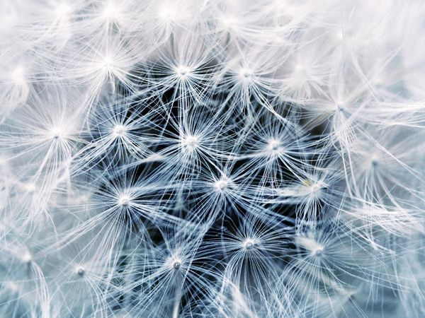 Soft nature patterns representing comfort and eye relaxation